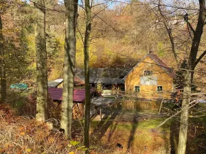 Prodej lesa, Jílové u Prahy, 14982 m2