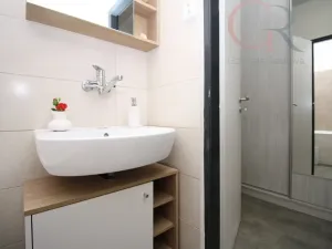 Prodej bytu 2+1, Plzeň - Východní Předměstí, Rychtaříkova, 51 m2