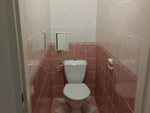 Pronájem bytu 2+1, Bílina - Újezdské Předměstí, 5. května, 67 m2