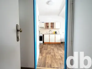 Pronájem bytu 1+1, Karlovy Vary, Jabloňová, 45 m2