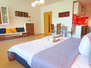 Pronájem bytu 1+kk, Brno, Šemberova, 48 m2