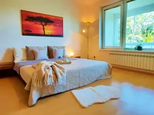 Pronájem bytu 1+kk, Brno, Šemberova, 48 m2