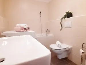 Pronájem bytu 1+kk, Brno, Šemberova, 48 m2