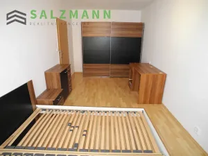 Pronájem bytu 2+1, Plzeň, Malesická, 50 m2