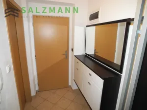 Pronájem bytu 2+1, Plzeň, Malesická, 50 m2