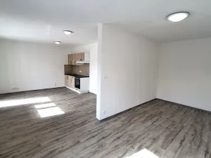 Pronájem bytu 1+kk, Plzeň, Železniční, 40 m2