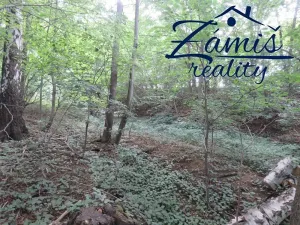 Prodej lesa, Pohledy, 7200 m2