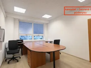 Pronájem kanceláře, Brno, Příkop, 226 m2