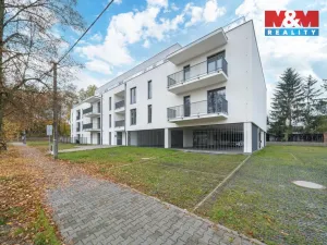 Prodej bytu 1+kk, Třemošná, Školní, 32 m2