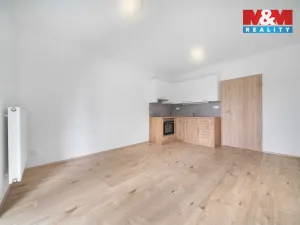 Prodej bytu 1+kk, Třemošná, Školní, 32 m2