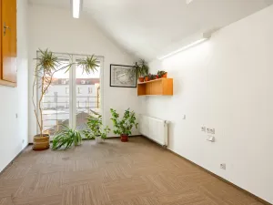 Pronájem bytu 2+kk, Hradec Králové, Eliščino nábřeží, 80 m2