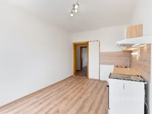 Pronájem bytu 1+1, Děčín, Riegrova, 37 m2