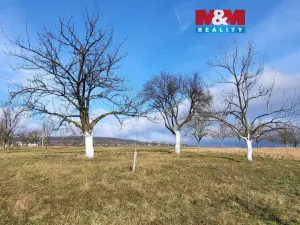 Prodej zahrady, Vlčnov, 600 m2