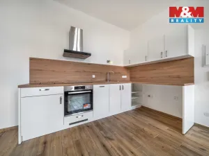 Pronájem bytu 1+kk, Plzeň - Východní Předměstí, 24 m2