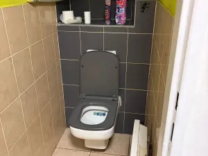 Pronájem bytu 2+1, Praha - Strašnice, Černická, 89 m2