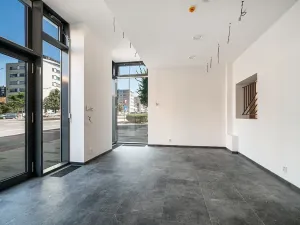 Prodej restaurace, Praha - Žižkov, Olšanská, 352 m2