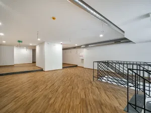 Prodej restaurace, Praha - Žižkov, Olšanská, 352 m2