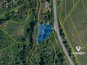 Prodej lesa, Doubravy, 20718 m2