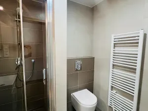 Pronájem bytu 1+kk, Olomouc, Frištenského, 32 m2