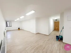 Pronájem skladu, Olomouc, Uhelná, 80 m2