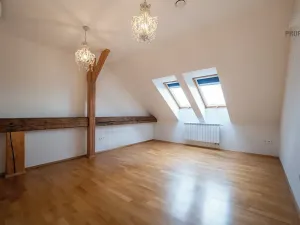 Prodej bytu 5+kk, Brno, Bezručova, 158 m2