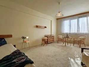 Prodej bytu 2+1, Písek, Dr. M. Horákové, 51 m2