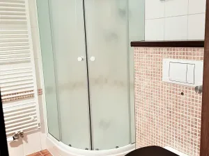 Pronájem bytu 1+kk, České Budějovice, Tylova, 39 m2