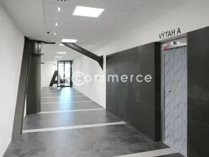 Pronájem kanceláře, Brno, 351 m2