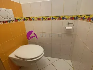 Pronájem bytu 3+1, Olomouc, Polská, 75 m2