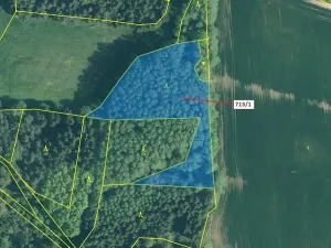 Dražba lesa, Kuřimany, 5067 m2