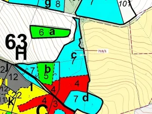 Dražba lesa, Kuřimany, 5067 m2