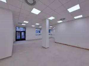 Pronájem obchodního prostoru, Praha - Žižkov, Cimburkova, 357 m2