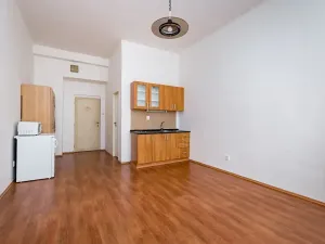 Pronájem bytu 1+kk, Praha - Žižkov, Vlkova, 25 m2