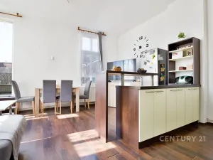 Prodej činžovního domu, Ústí nad Labem, Raisova, 416 m2