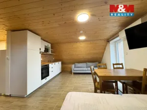 Pronájem bytu 1+kk, Seč, Chrudimská, 28 m2