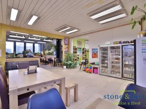 Prodej obchodního prostoru, Praha - Troja, Lodžská, 254 m2