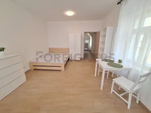 Pronájem bytu 1+1, Olomouc, 1. máje, 25 m2