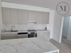 Pronájem bytu 2+kk, České Budějovice, Branišovská, 67 m2