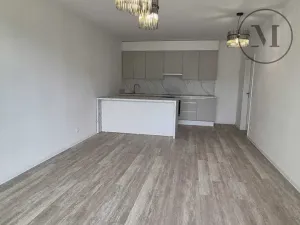 Pronájem bytu 2+kk, České Budějovice, Branišovská, 67 m2