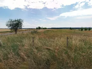 Prodej pozemku, Maršov, 31902 m2