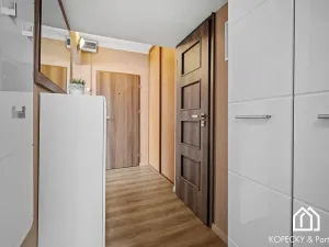 Prodej bytu 3+kk, Praha - Žižkov, Hartigova, 68 m2