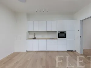 Pronájem bytu 2+kk, Praha - Holešovice, U průhonu, 48 m2