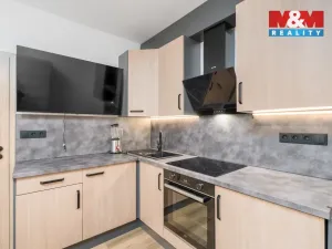 Pronájem bytu 1+1, Ústí nad Labem - Neštěmice, Seifertova, 37 m2