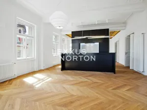 Pronájem bytu 3+1, Praha - Staré Město, Dušní, 160 m2