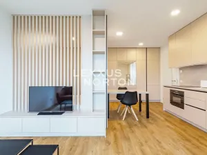 Pronájem bytu 1+kk, Praha - Letňany, Tupolevova, 39 m2