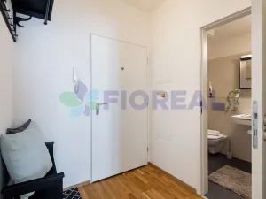 Pronájem bytu 2+kk, Praha - Žižkov, Hartigova, 45 m2