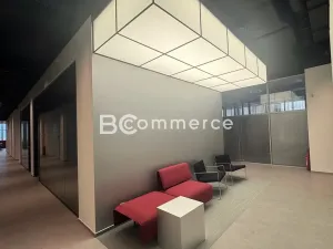 Pronájem kanceláře, Brno, Purkyňova, 50 m2