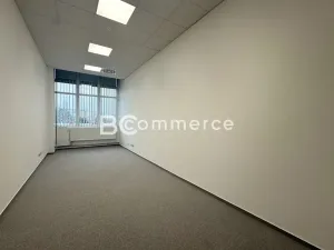 Pronájem kanceláře, Brno, Purkyňova, 50 m2
