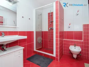 Prodej rodinného domu, Brumovice, Za Humny, 160 m2
