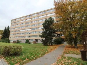 Pronájem bytu 1+kk, Praha - Karlín, Nekvasilova, 28 m2